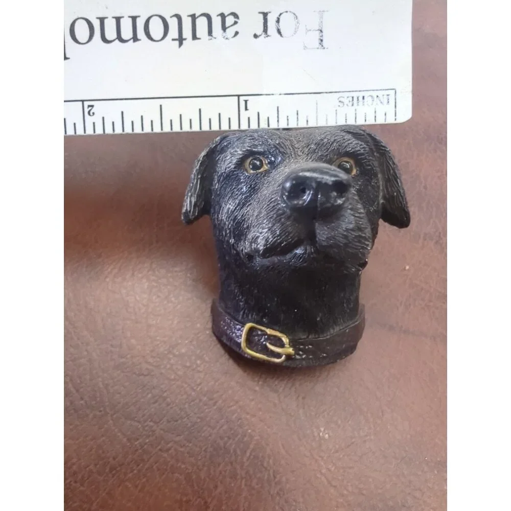 Set of‎ 12 Labrador Retriever Shower Curtain Hooks Black Brown & Blonde Labs